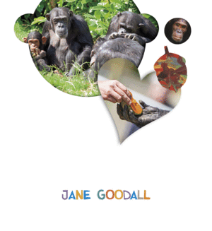 PROYECTO ¿LO VES? : JANE GOODALL