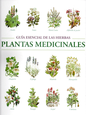 GUIA ESENCIAL DE LAS HIERBAS. PLANTAS MEDICINALES